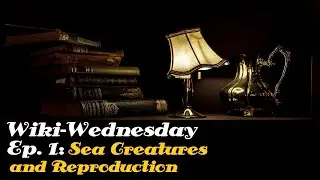 WIKI-WEDNESDAY | Episode One: Sea Creatures and Reproduction | (Recorded LIVE!)