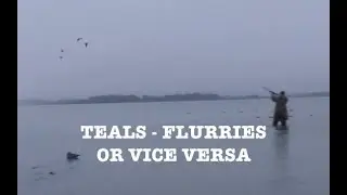 Sarcelles en pagaille - Duck Hunting MN USA - Blue Wing teals flurry