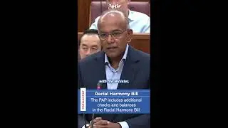 The PAP government includes additional checks and balances in the Racial Harmony Bill