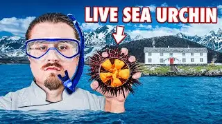 Cooking What I Find In The Arctic Circle