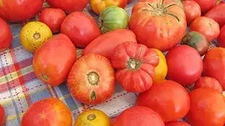 How to Choose a Good Tomato