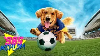 Fast Facts Friday:  Air Bud