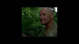 charlie bees attack |season 1 episode 6#lostseries #charliepace #beeattack #mysteryisland #johnlocke