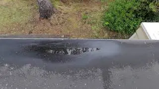 Fern Roof Evaluation