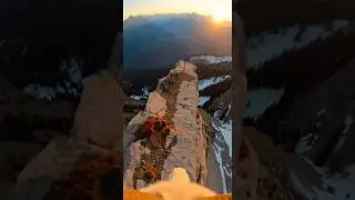 Wildlife Photographer's Wild Ride | POV from Mountain Goat! #animals #mountaingoats #shorts