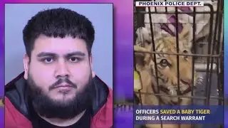 Arizona man arrested, accused of keeping and trying to sell tiger cub