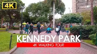 【4K】Why Are There So Many Cats Here? 🐱 | Kennedy Park, Lima 🇵🇪 [4K/60fps]