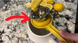Review Chef n FreshForce Citrus Juicer