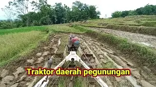 NYINGKAL LANGSUNG NGAPYAHAN PAKE TRAKTOR QUICK IMPALA MESIN KUBOTA RD 5.5