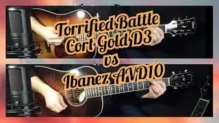 Torrified Acoustics Shootout / Cort Gold D8 vs Ibanez AVD10 Compared