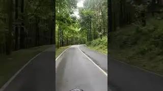 Road trip #coorg #karnataka #wayanad #kerala