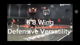 6&rsquo;8 C/O 2027 Wing, Defensive versatility