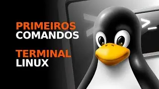 Primeiros comandos no terminal Linux