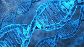 Your DNA Could Stretch to Pluto and Back... 17 Times! #didyouknow #facts #trivia