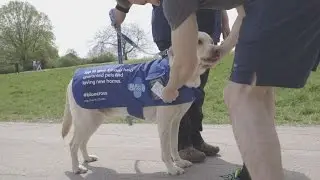 Dogs fundraise for charity wearing new tech coats