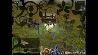 Maromba21 - FS PvP Migal