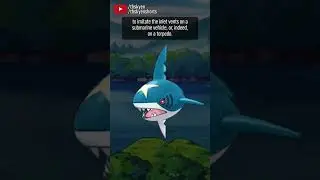 Carvanha and Sharpedo keep it simple, but extremely effective || #pokemon review