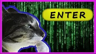 If the Matrix was real it would end us. Exploring the Experience Machine thought experiment