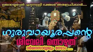 ഗുരുവായൂർ ക്ഷേത്രത്തിലെ ശീവേലിയും പ്രഭാത കാഴ്ച്ചകളും | 01/02/2026 | Guruvayur Temple Morning Shiveli
