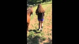 Trail of tears: RAP