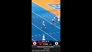 Mackenzie Alleyne TD from Zevi Eckhaus