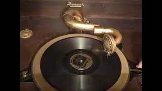 IRVING MILLS HOTSY TOTSY GANG JACK TEAGARDEN - SINCE YOU WENT AWAY - ROARING 20'S BRUNSWICK CORTEZ