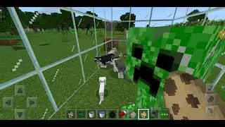 Eksperimen phobia mob