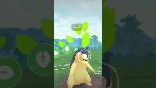 WHAT HAPPEND!? Tornupto #pokemongo #pokemon #greatleaguepokemongo