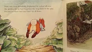 Peter Rabbit Story Book