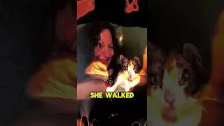 Scarlett the Heroic Cat