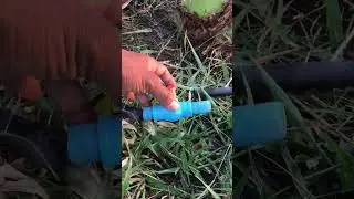 របៀបតទឹកដំណាំដូង