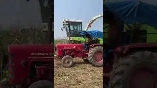 chaany agro industries village sirya wala chaany 900 madl