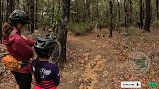 HUCK IT MTB Coaching #2 | The M&Z Riding Project