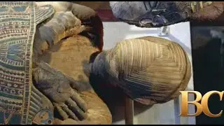 The Bashiri mystery: A 2,300-year-old Egyptian mummy that no archaeologist dares to open