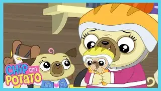 Chip's Big Bike Ride - Chip & Potato | Cartoons for Kids | WildBrain Toon Town