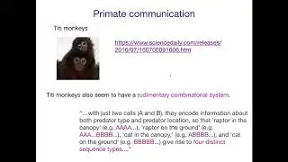 AcqOfLang1: Non-human primate rudimentary combinations