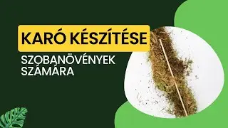 Kókuszchips karó készítése futó növényekhez - Szobanövény gondozási tippek kezdőknek | Let's Leaf