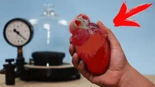 ¿QUÉ PASARIA SI sometemos un CORAZÓ de TERNERNA al VACÍO?