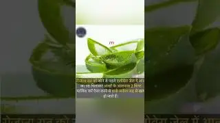 Aloe vera face pack for soft ✨ bright skin #facepack #glowingskin