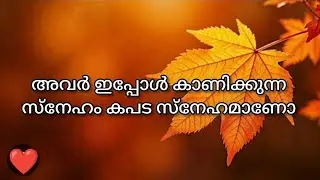അവർ ഇപ്പോൾ കാണിക്കുന്ന സ്നേഹം കപട സ്നേഹമാണോ 