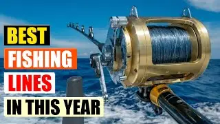 Top 5 Fishing Lines That Will Revolutionize Your Fishing Experience