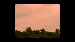 Ansomia - Seilferif
