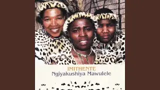 Kumnyama Kuleziyantaba