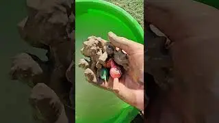 Dirty Sprunki ➜ Italian Animals 😳🐾 #mudtowater #sprunkitransformation #animalreveal
