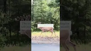 Ready for Fall in Washington?