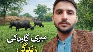 1️⃣ میری دیہات کی سادہ زندگی | Daily Village Vlog Pakistan/ 