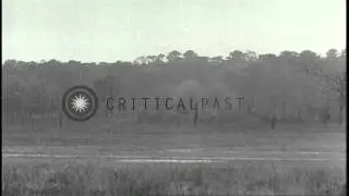 US soldiers demonstrate the operation of grenades mounted on M-1 Carbine grenade ...HD Stock Footage