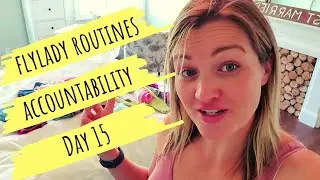 Day 15 | Flylady Routines Accountability