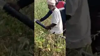 Goldi Solar 3hp Pump