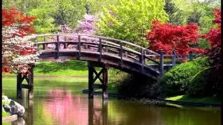 Samsung D900i Sonic Wellness (Spring)